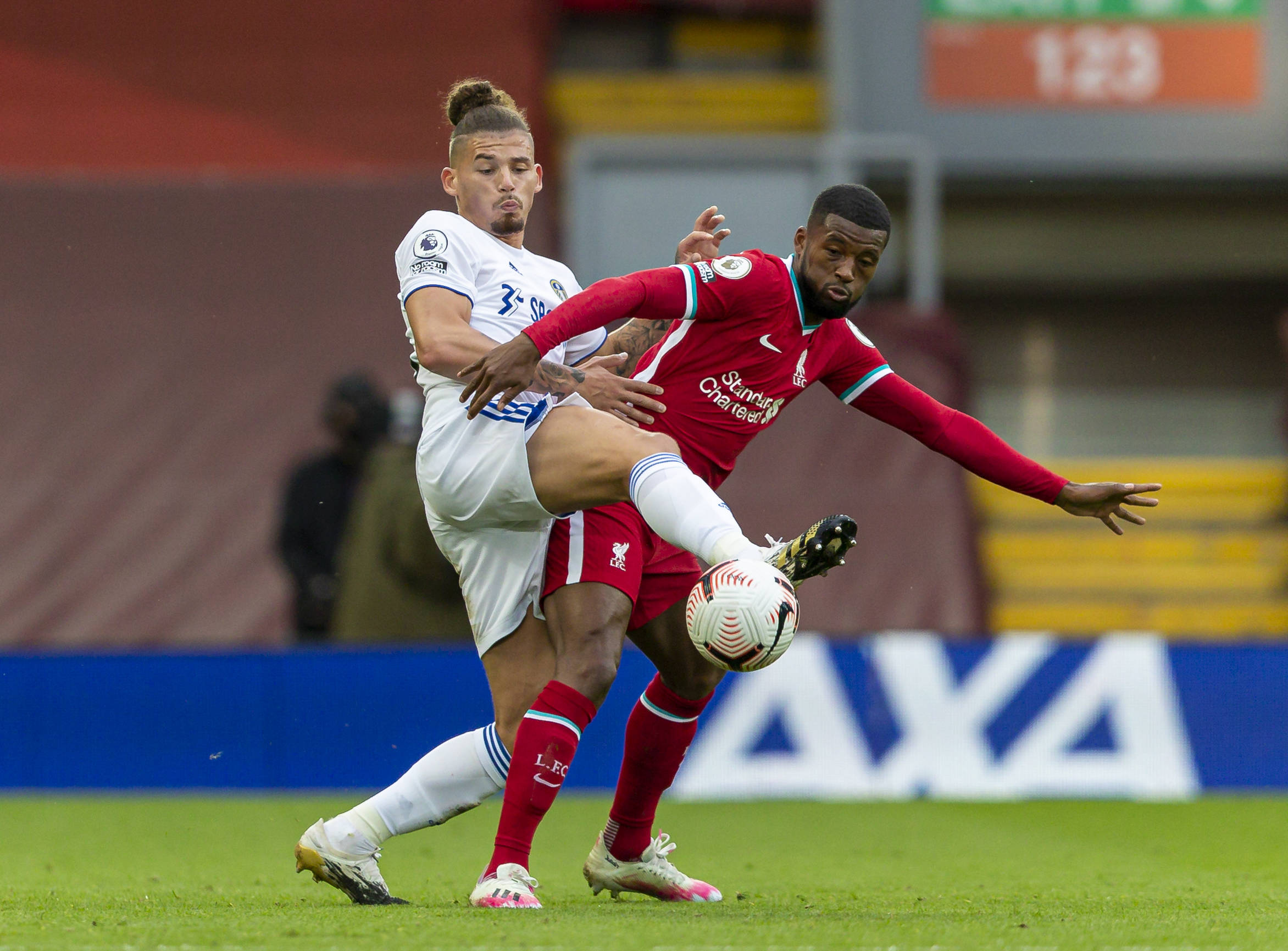 以及丰富的 以及丰富的