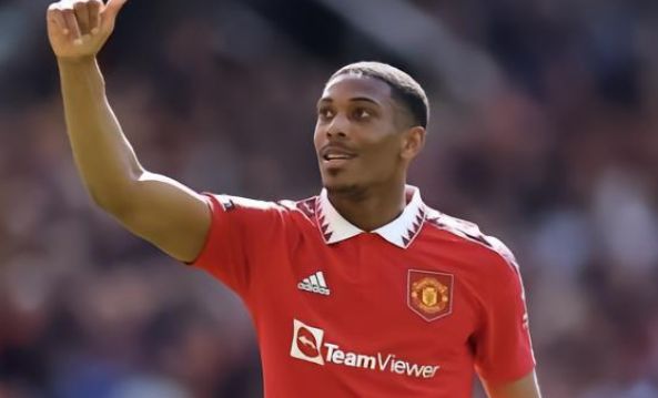 淡国家队的 淡国家队的