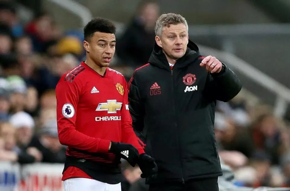 识别文章的 识别文章的